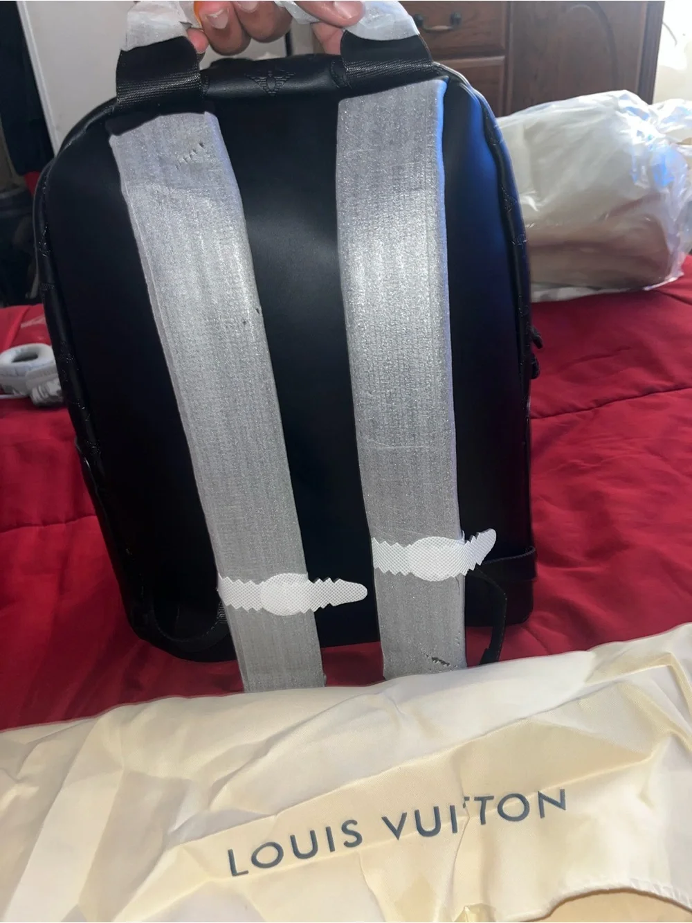 LV Backpack